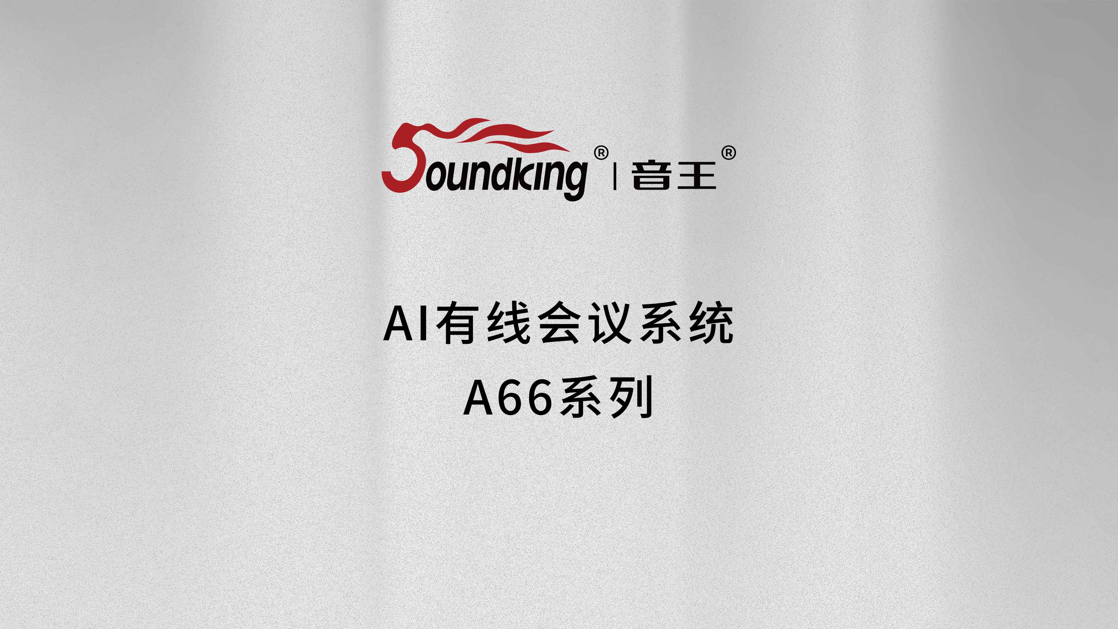 AI有線會議系統A66系列